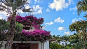 A building with a wooden door labeled 'LA PIZZUTA 1967,' surrounded by a garden with various plants and flowers. - Villaggio La Pizzuta (Parghelia)
