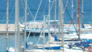 Dock