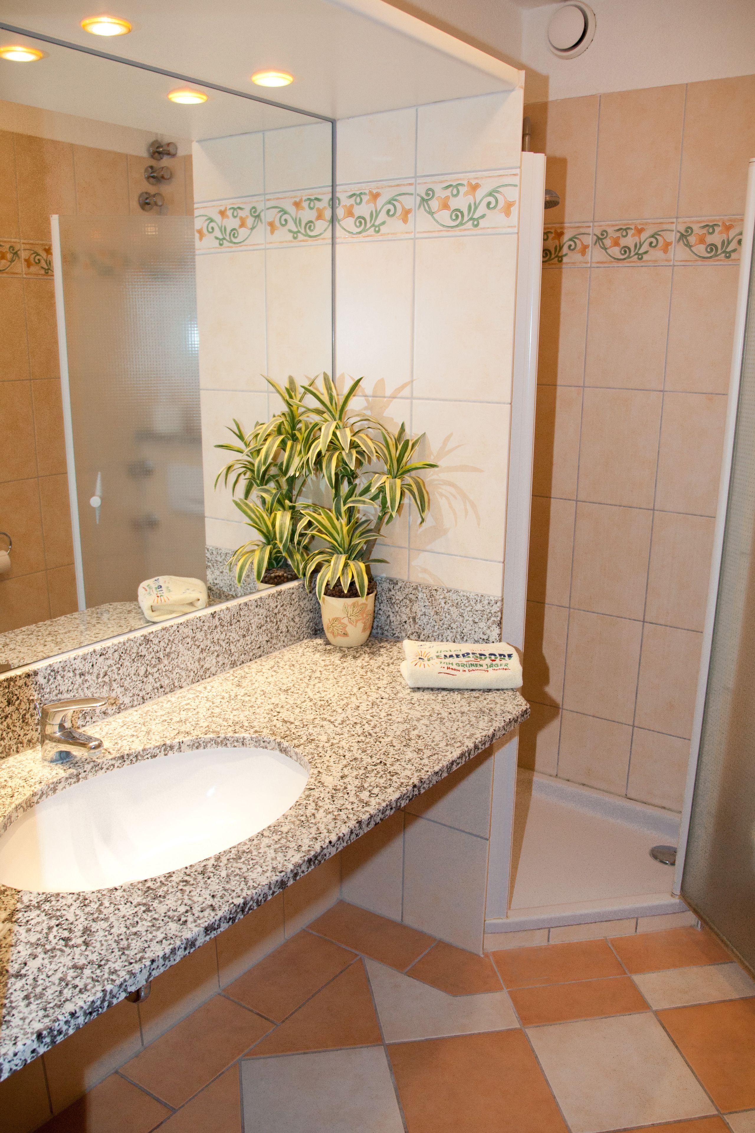 A bathroom with a granite countertop, a white sink, a potted plant, and a shower area.