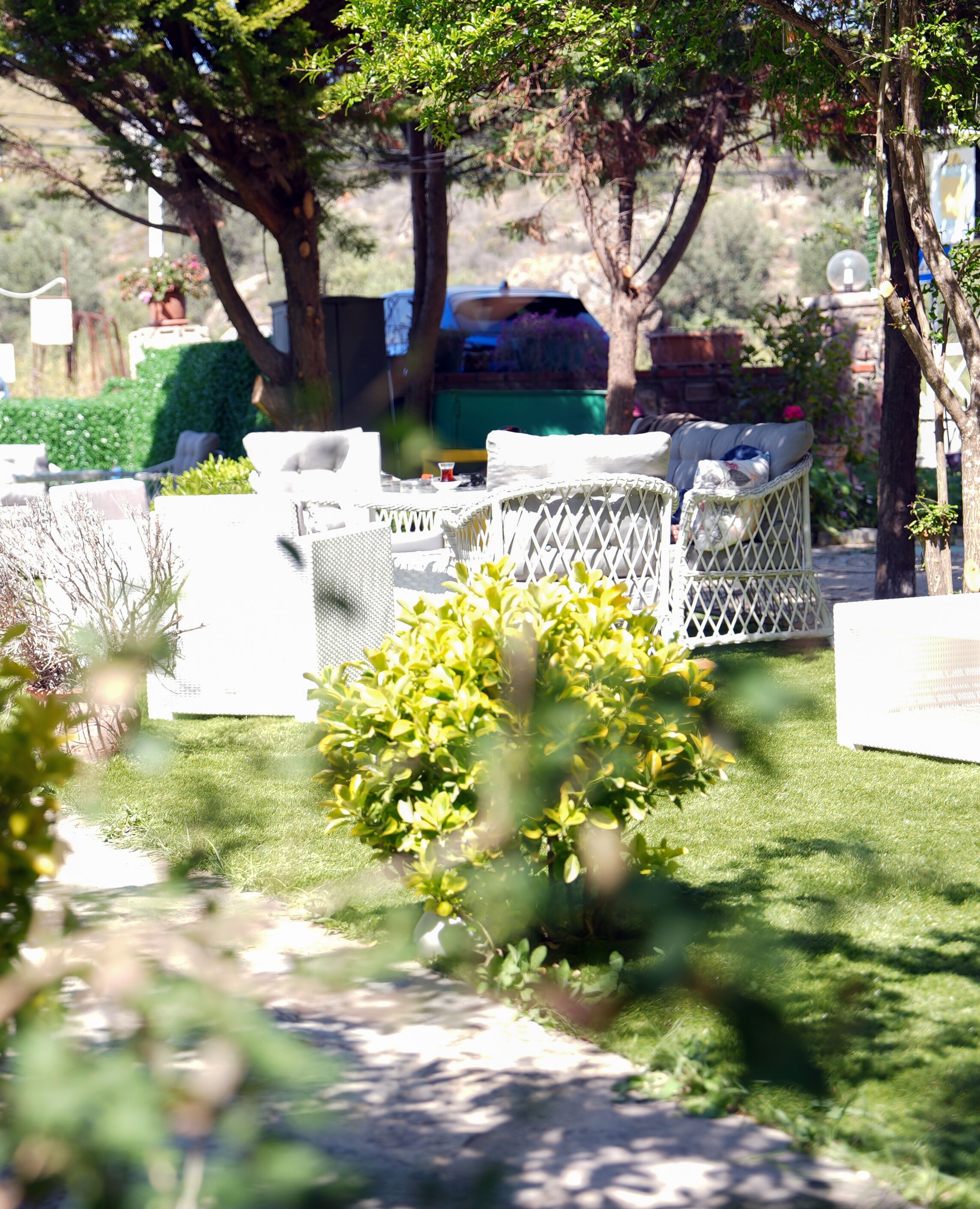 A garden with outdoor seating, a small bush, and trees.
