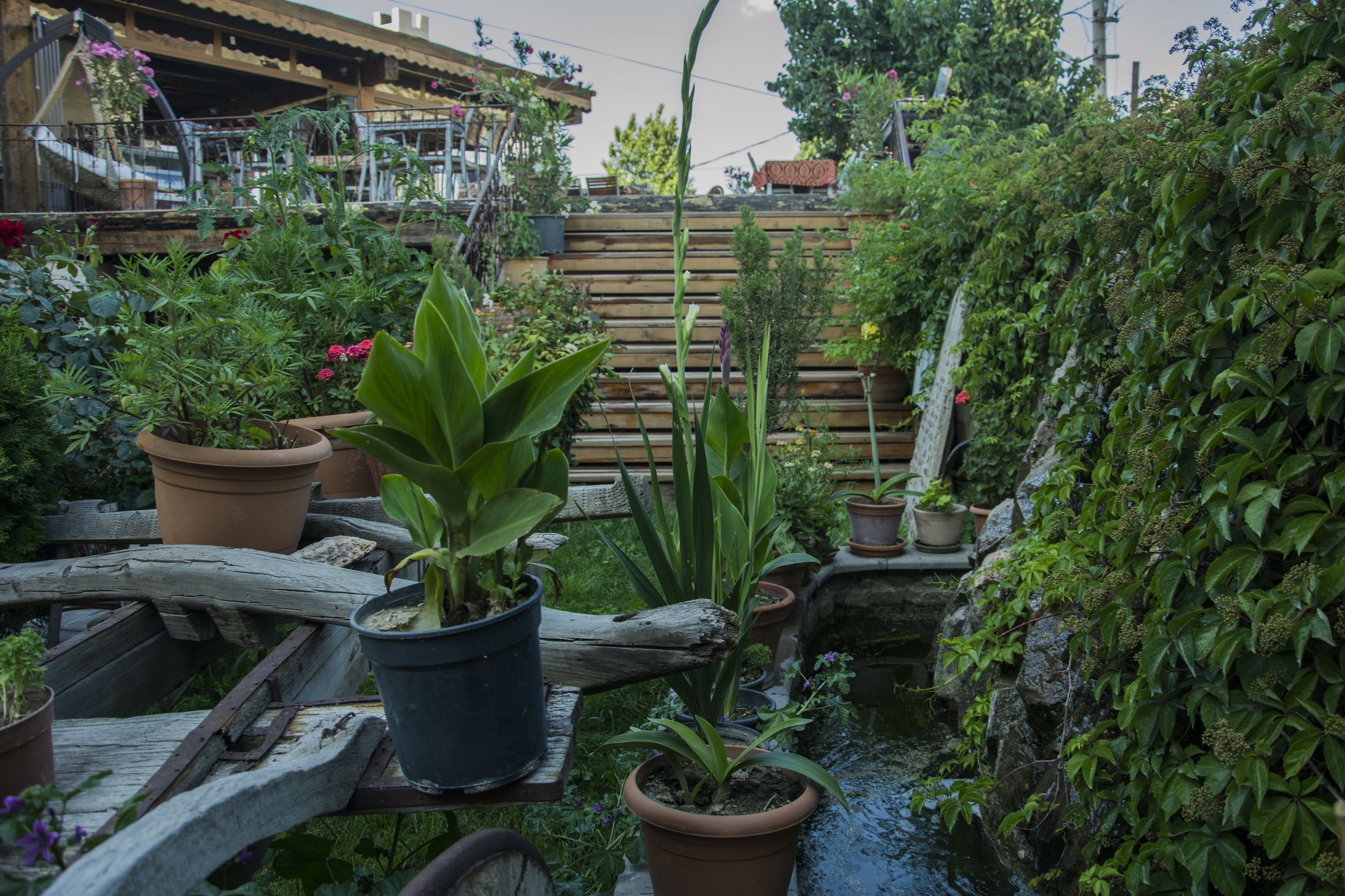 Photo - Roma Cave Suite