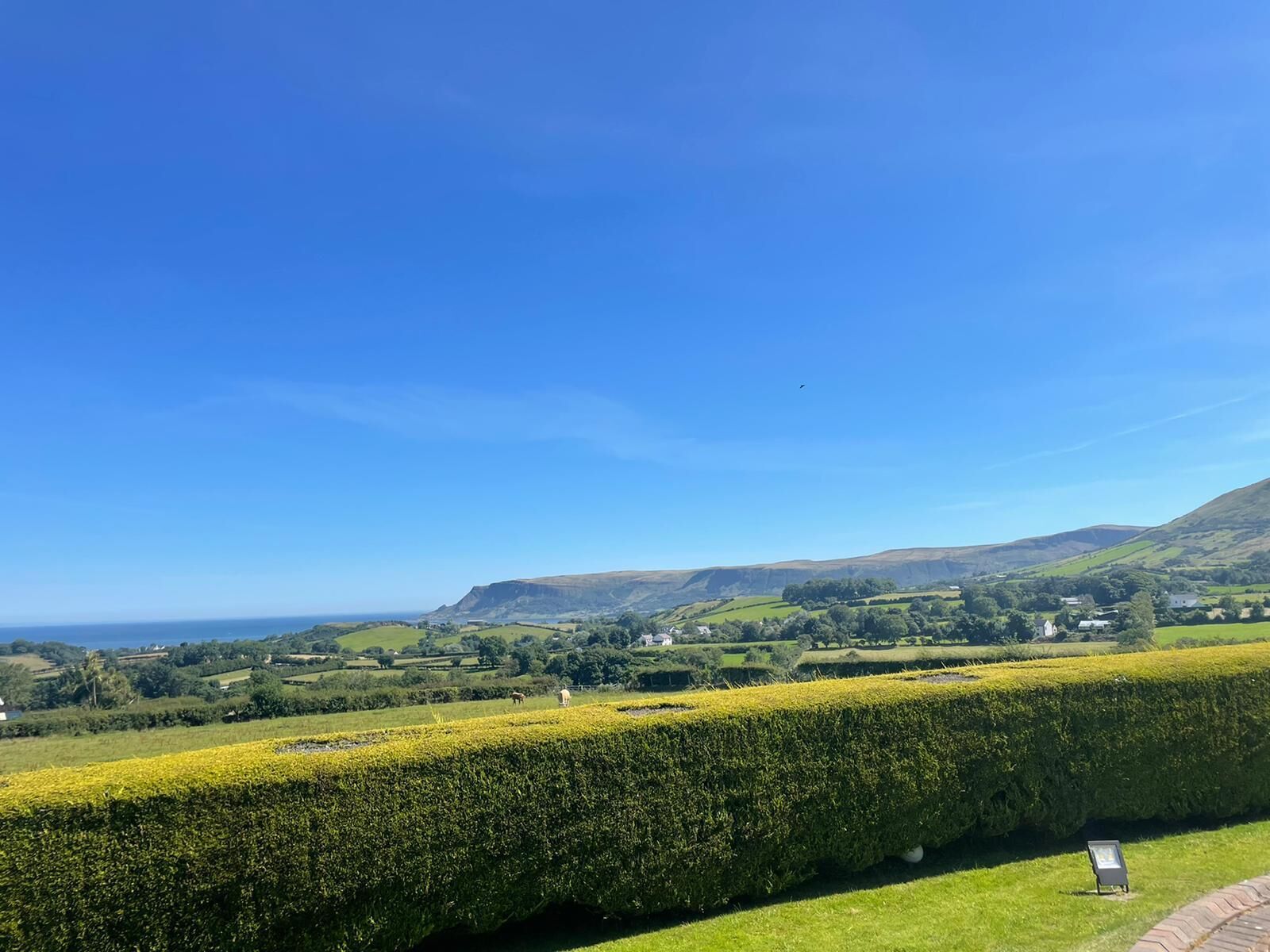 A scenic view of a coastal landscape with rolling hills, a clear blue sky, and a well-maintained hedge in the foreground.