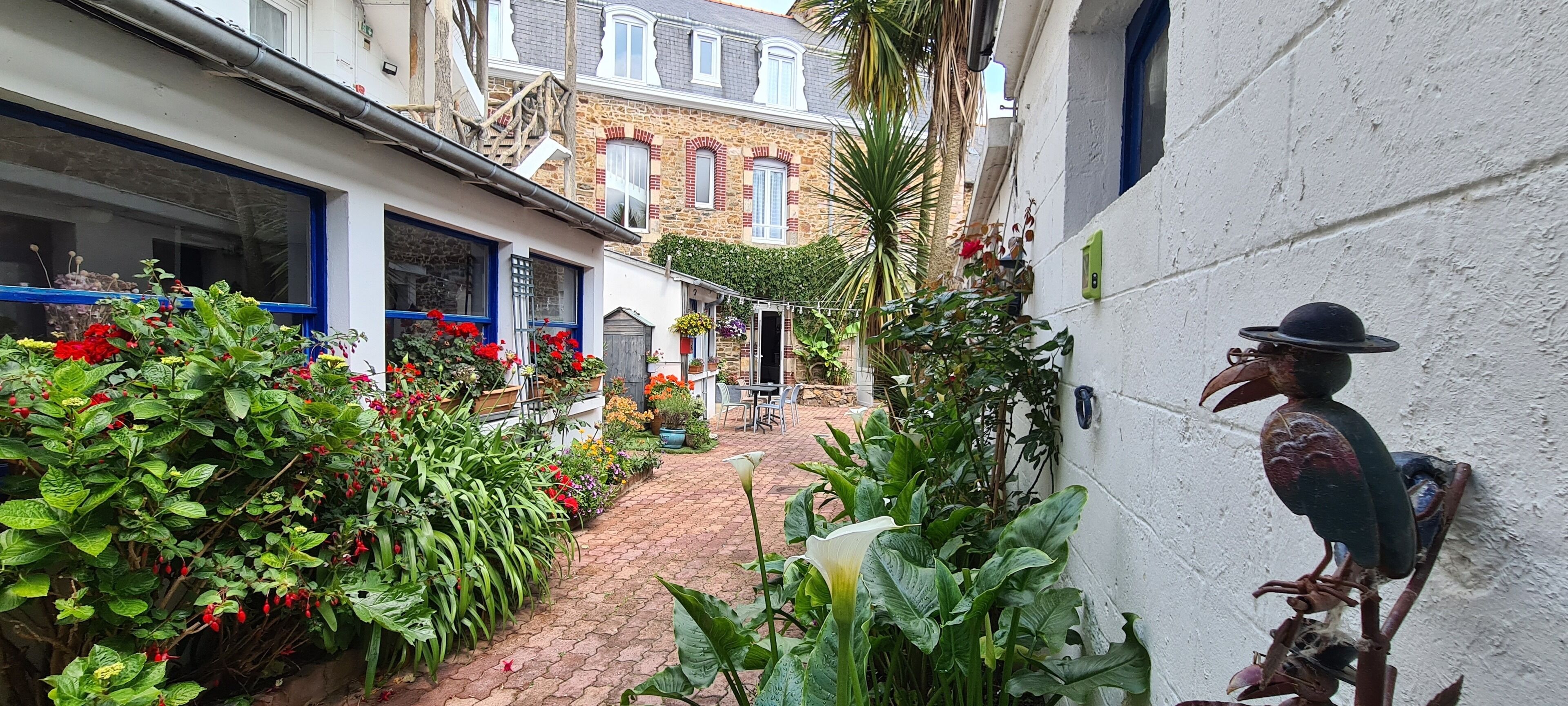 Terassi/patio