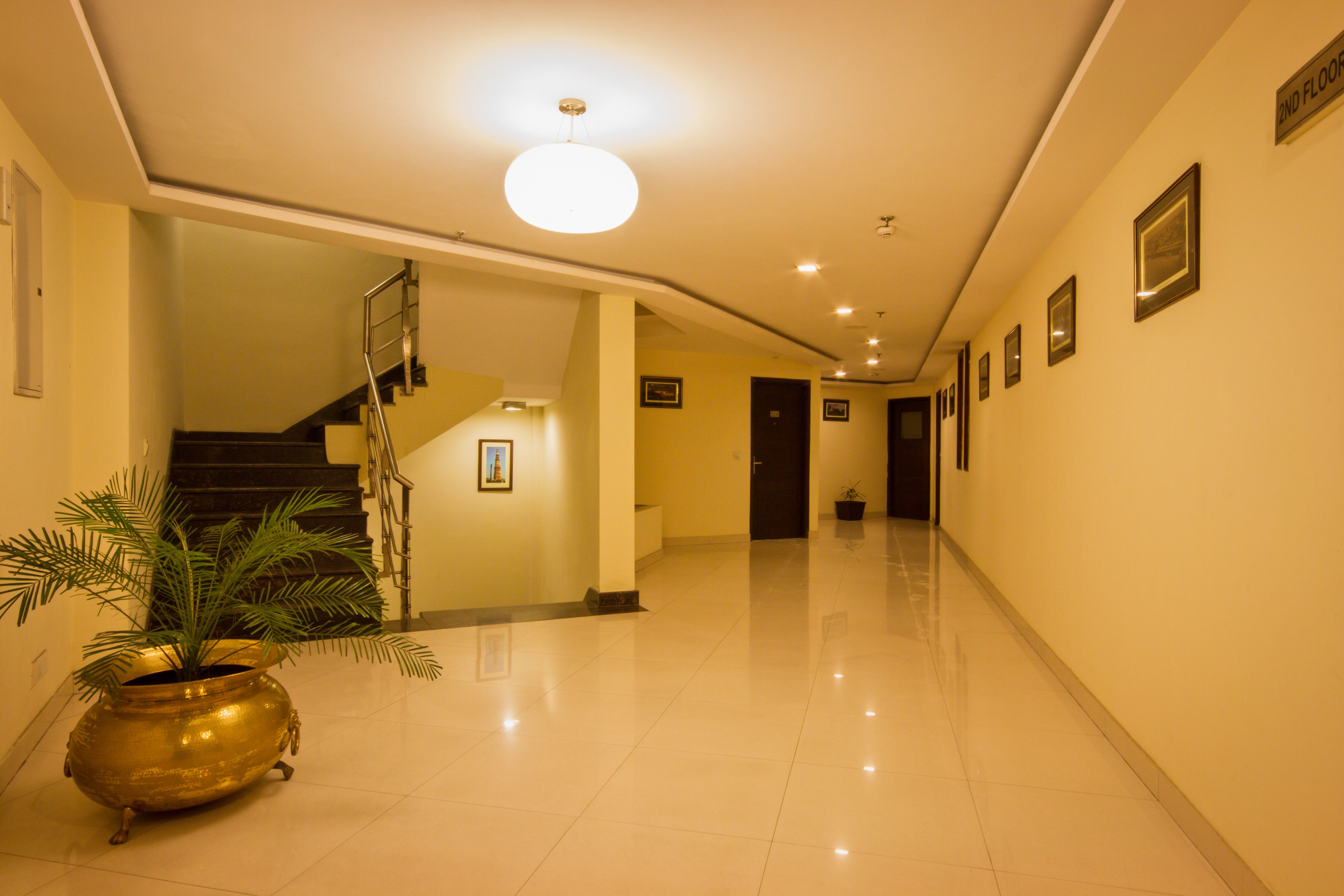 A hallway with a staircase, a potted plant, and framed pictures on the walls.