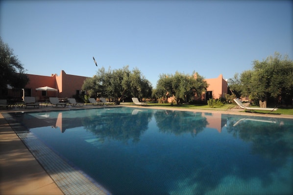 Seasonal outdoor pool, pool umbrellas, pool loungers