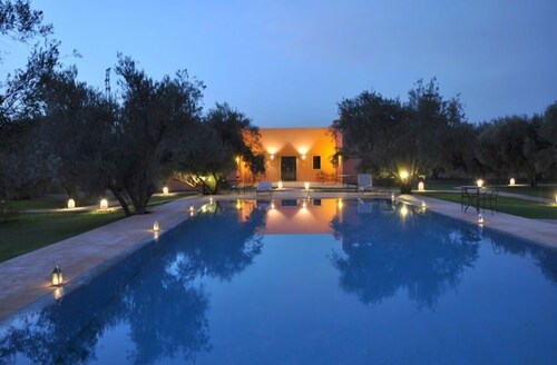 Les Oliviers de L Atlas