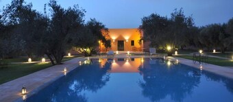 Les Oliviers de L Atlas