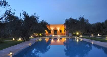 Les Oliviers de L Atlas