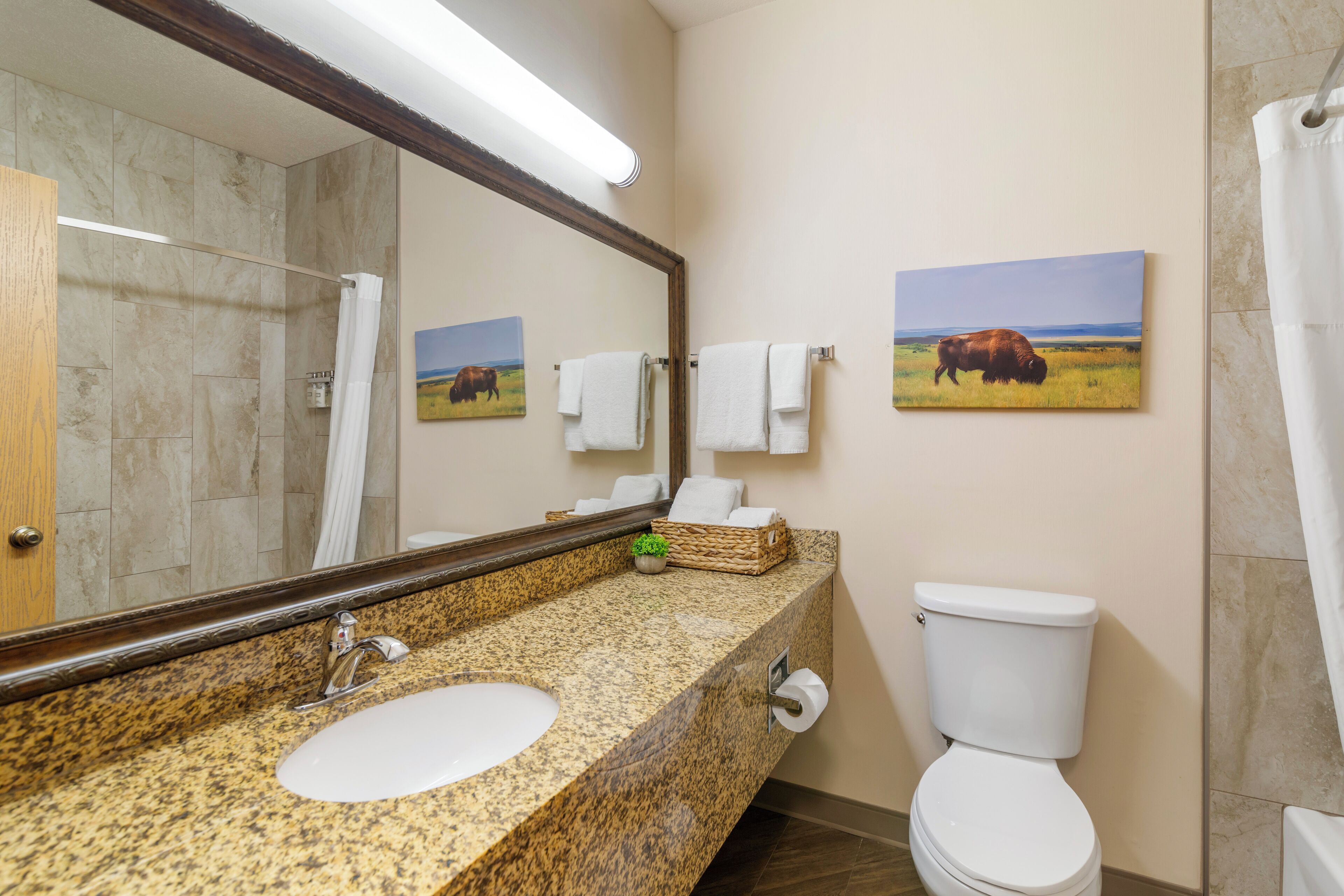 combined shower/bathtub, hair dryer, towels