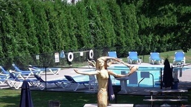 A fenced outdoor area with a pool, lounge chairs, and picnic tables. - The Blue Inn At North Fork (East Marion)