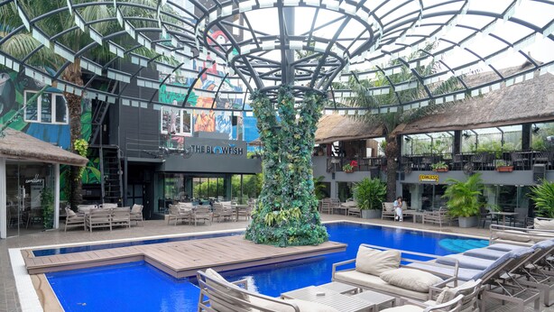 An indoor pool area with lounge chairs and a central decorative tree. - The Blowfish Hotel (Lagos)