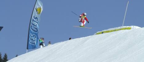 A ski slope with a flag, a skier in mid-air, and spectators.