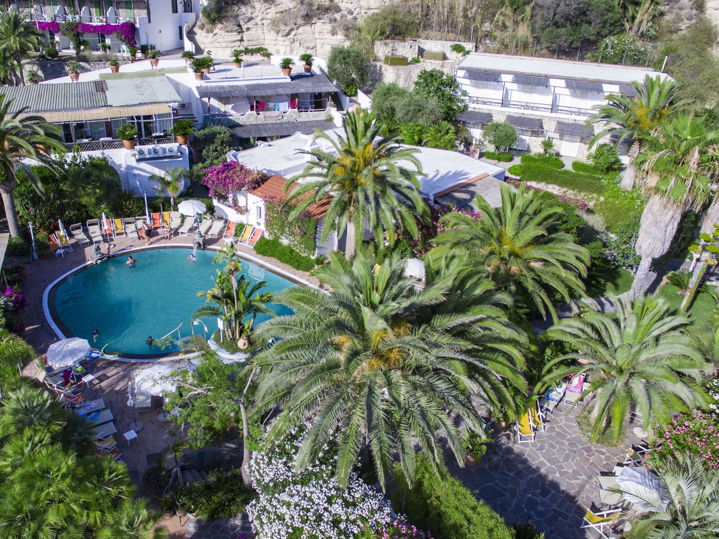 A resort with a swimming pool surrounded by palm trees and lounge chairs.