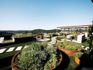 Rooftop terrace