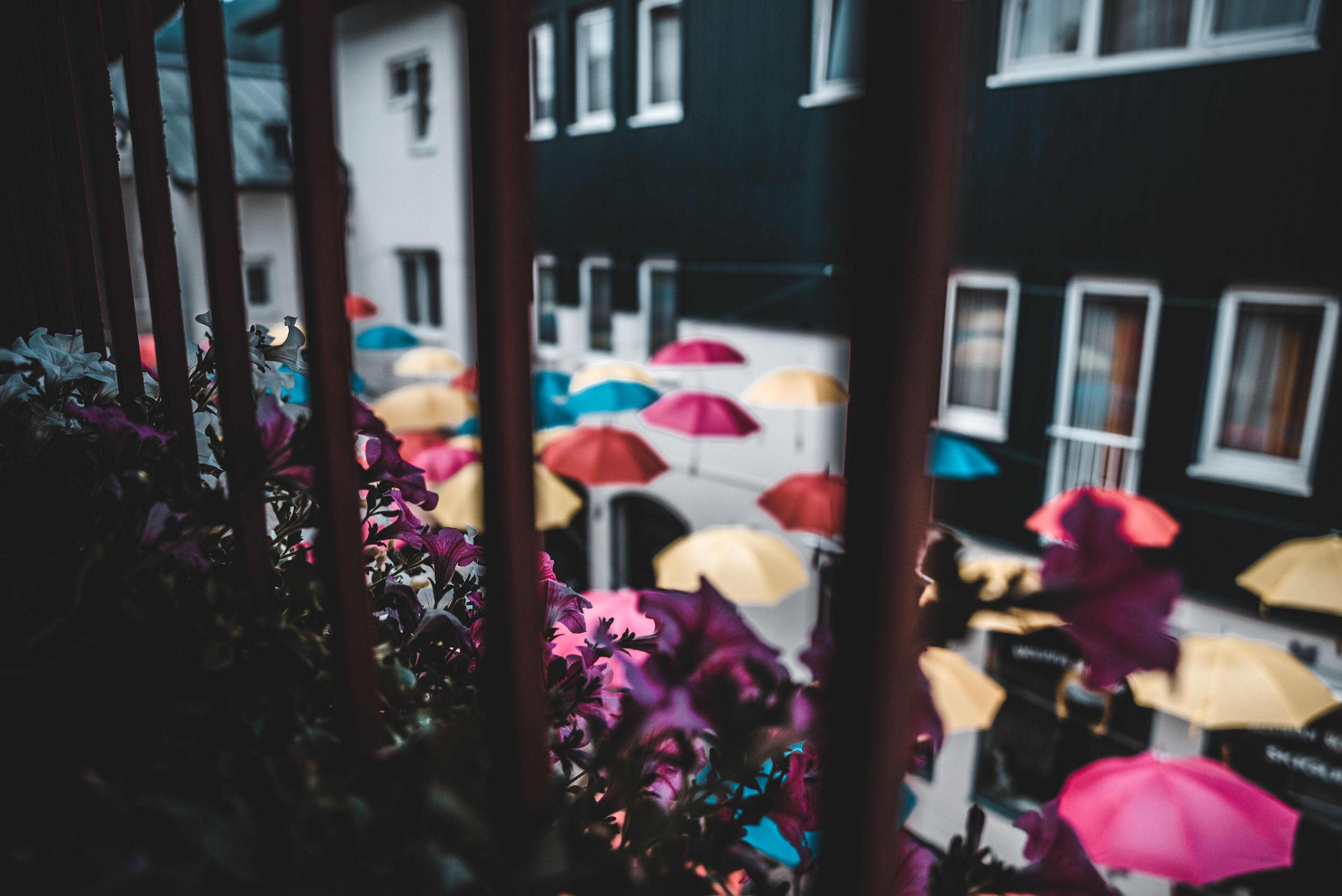 Une vue à travers une fenêtre, avec des parapluies colorés à l’extérieur, un bâtiment aux fenêtres blanches et quelques plantes vertes au premier plan.