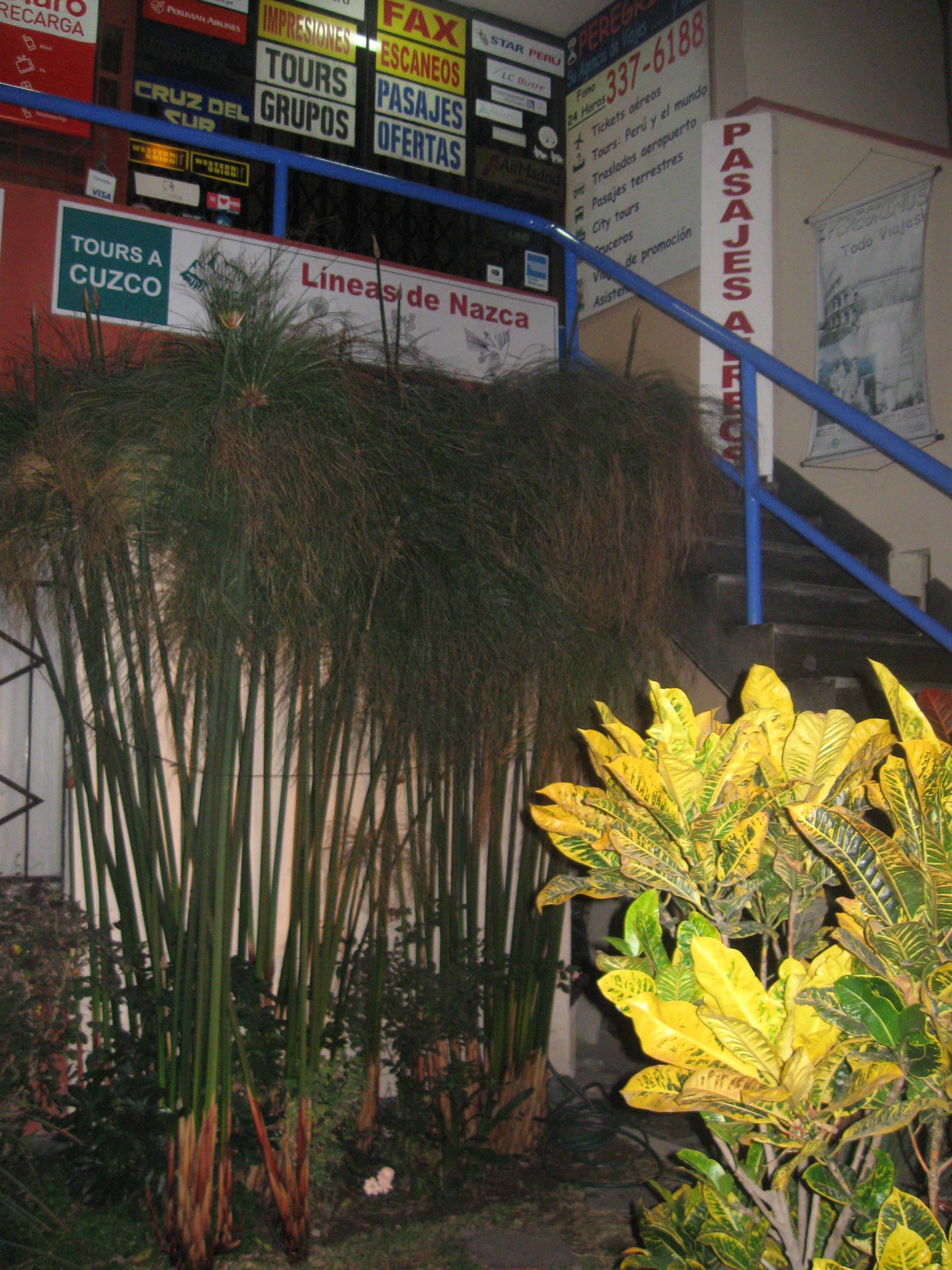 Photo - Posada Peregrinus