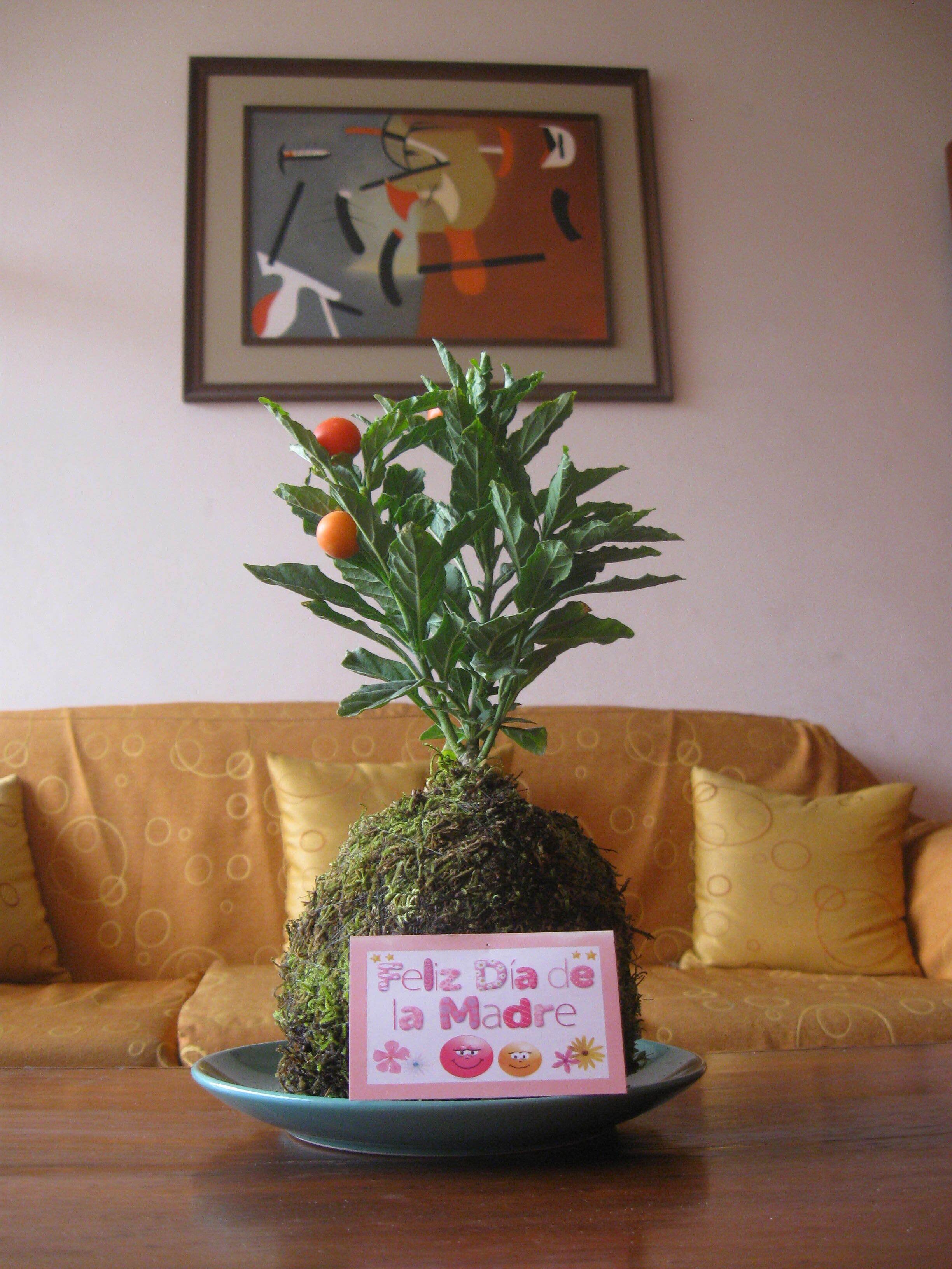 Photo - Posada Peregrinus