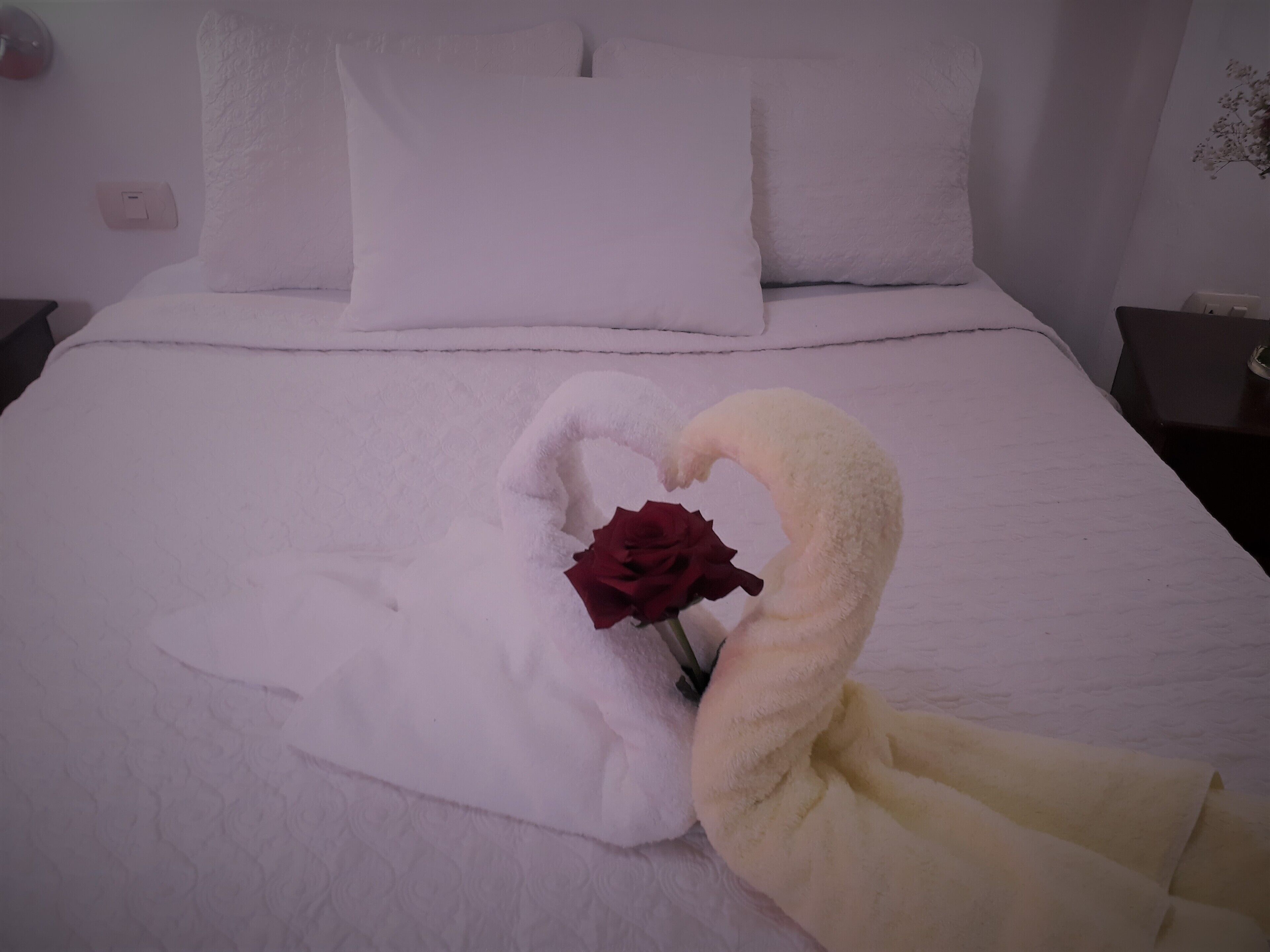 Photo - Hostal Tu Hogar