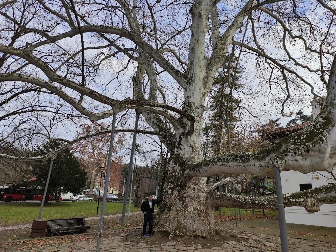 Foto - Selection Rooms