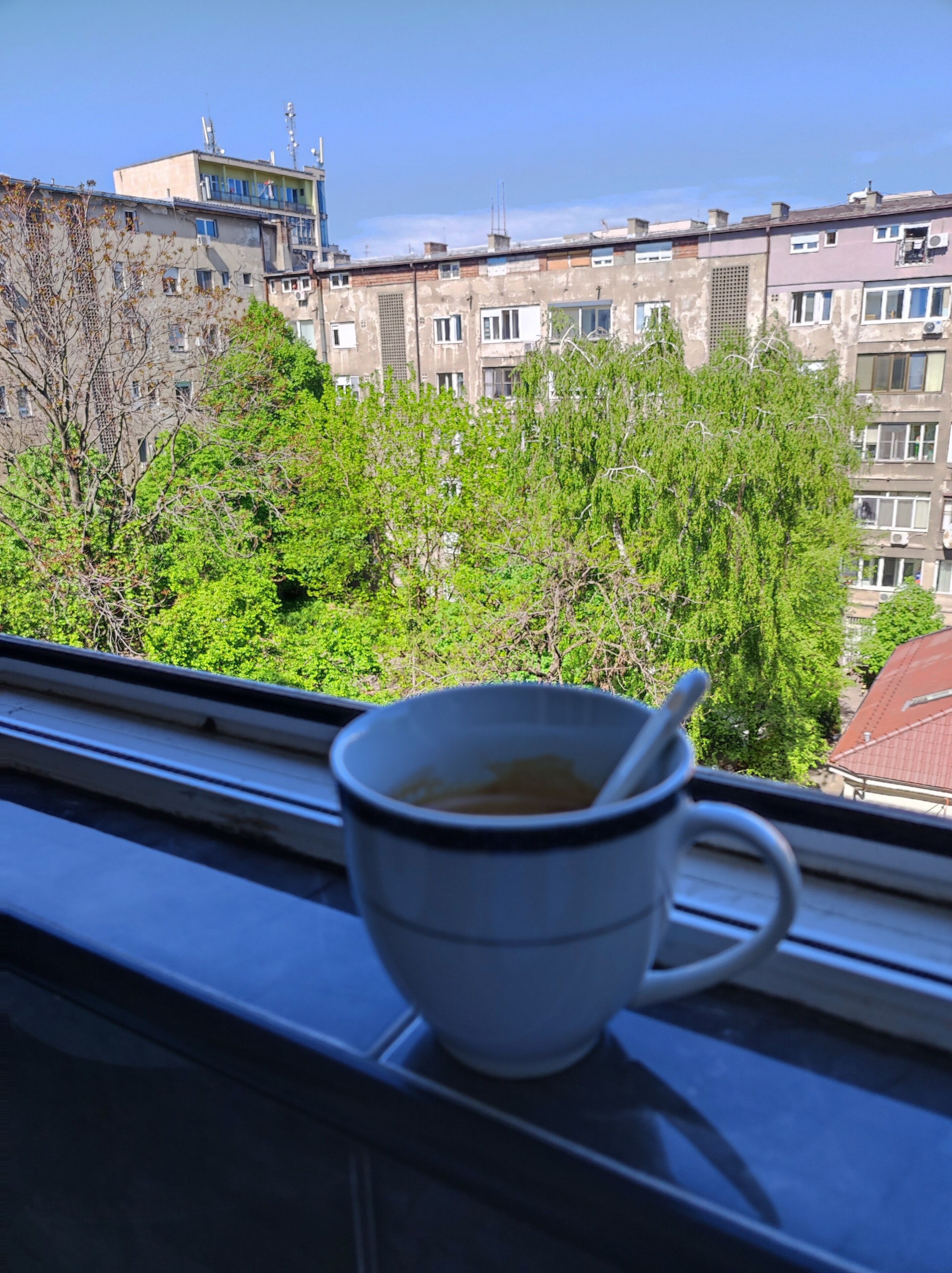 View from room