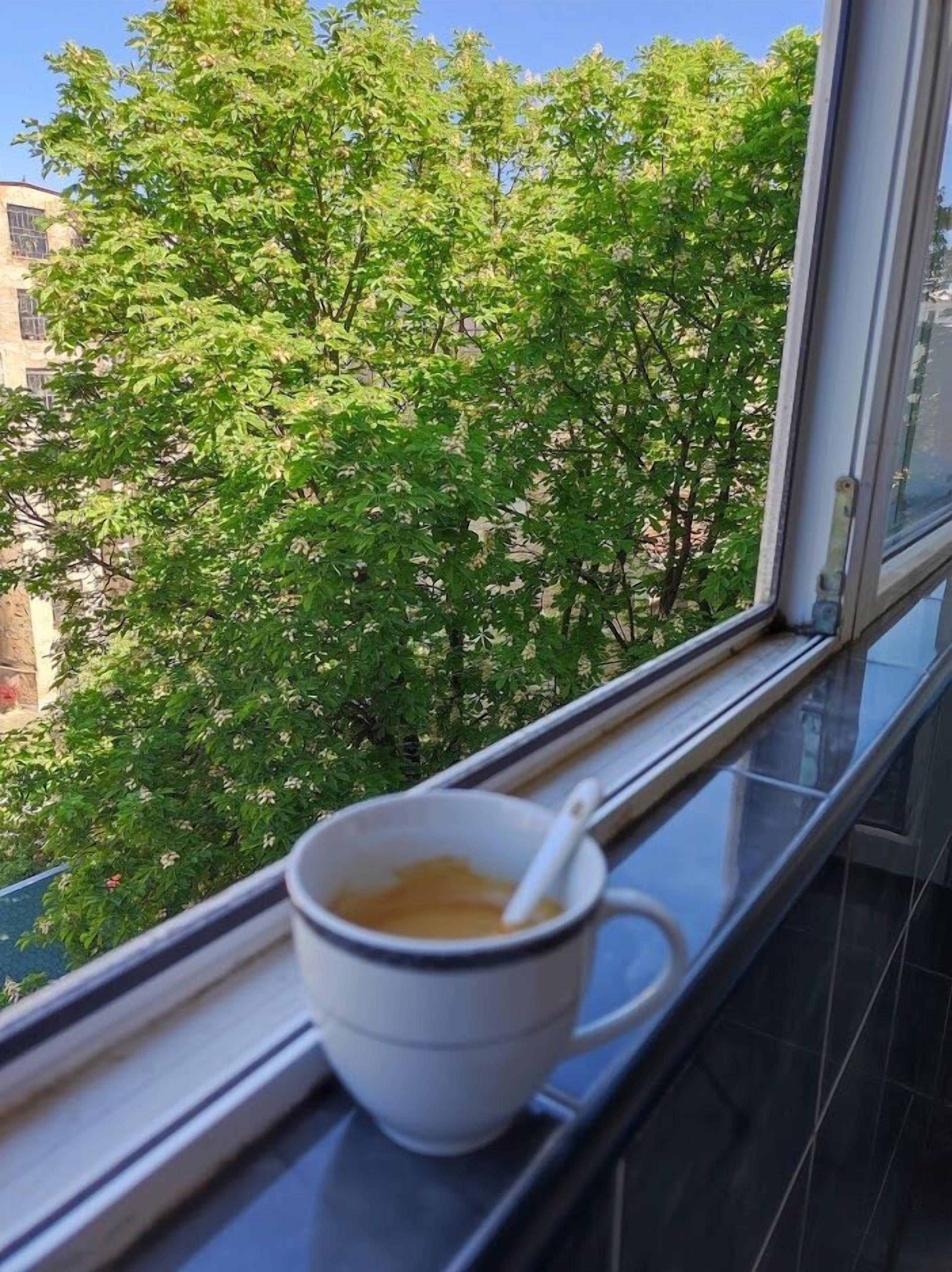 Ikkunasta avautuu näkymä puurivistöiselle kadulle.