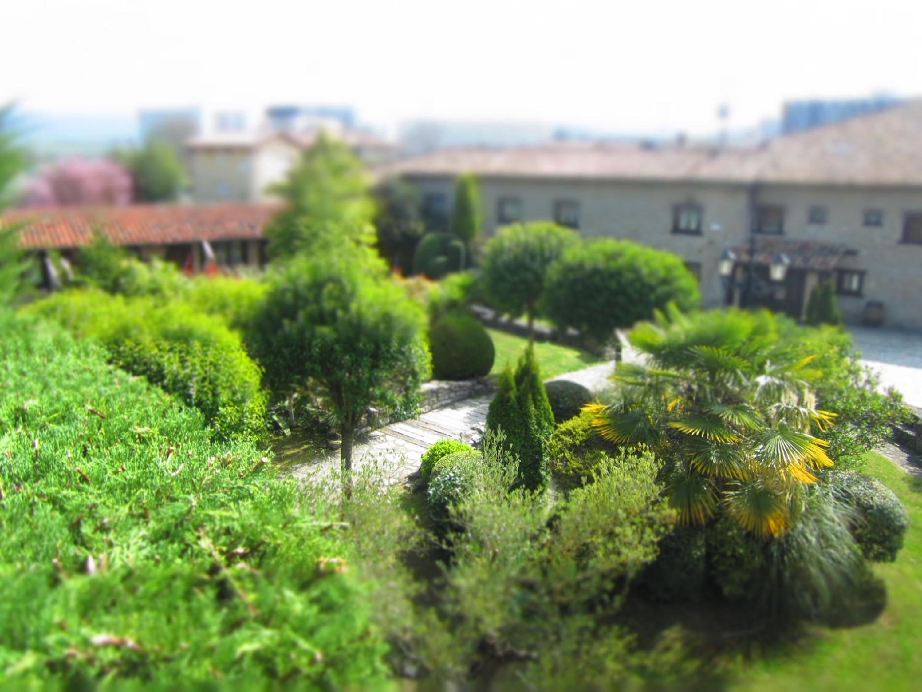 A garden with various shrubs and a pathway.