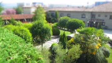 A garden with various shrubs and a pathway.