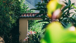 A garden with a tiled roof structure, lush greenery, and a pathway leading to a building. - Hotel Rural Casamarilla (Garachico)
