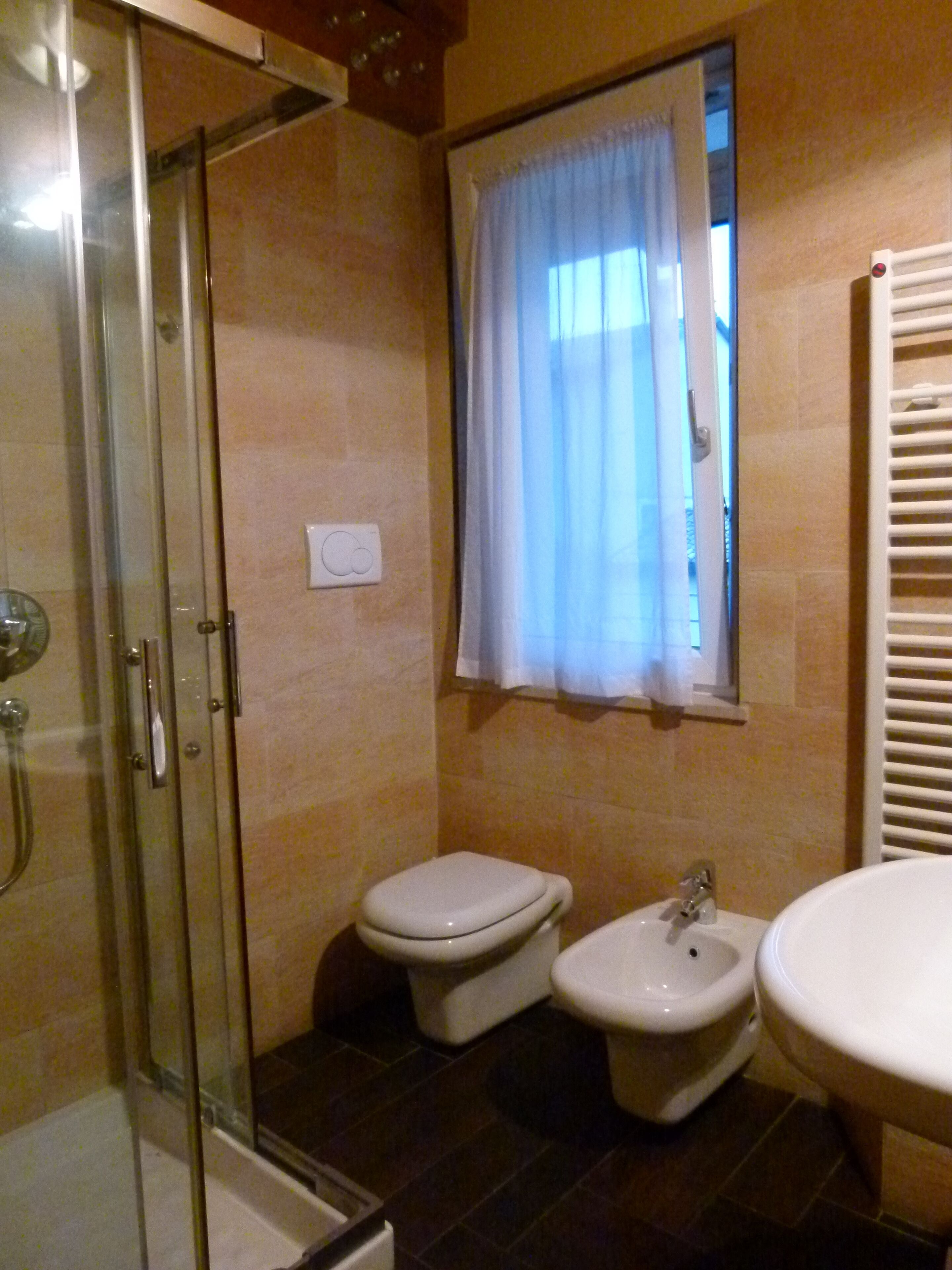 shower, free toiletries, hair dryer, bidet