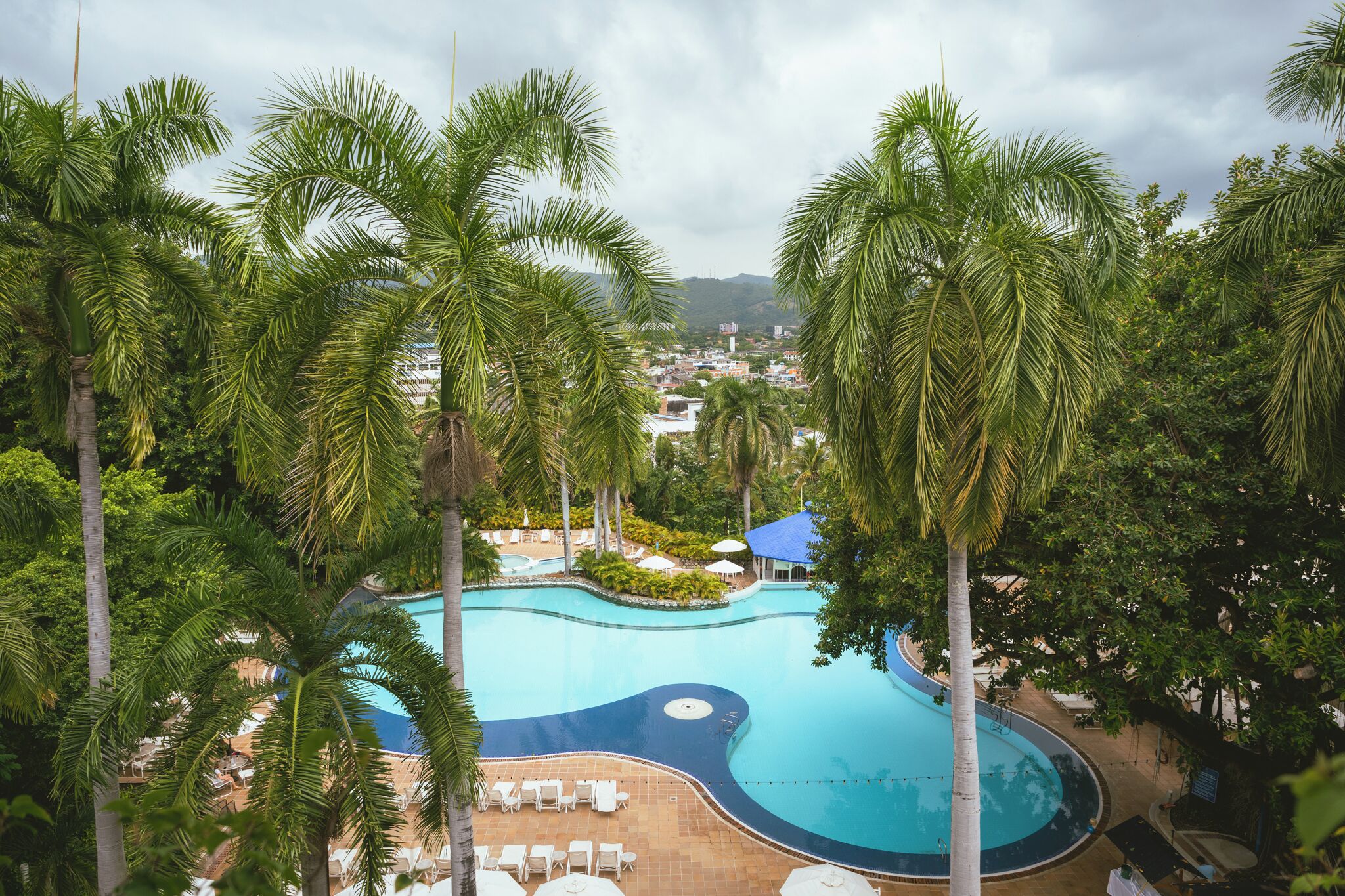 A large, curved swimming pool surrounded by palm trees and lounge chairs, with a view of a town in the background.