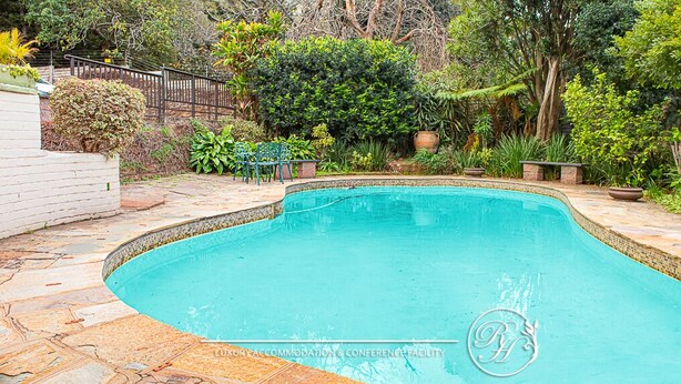Una piscina con borde de piedra, rodeada de vegetación y una valla.
