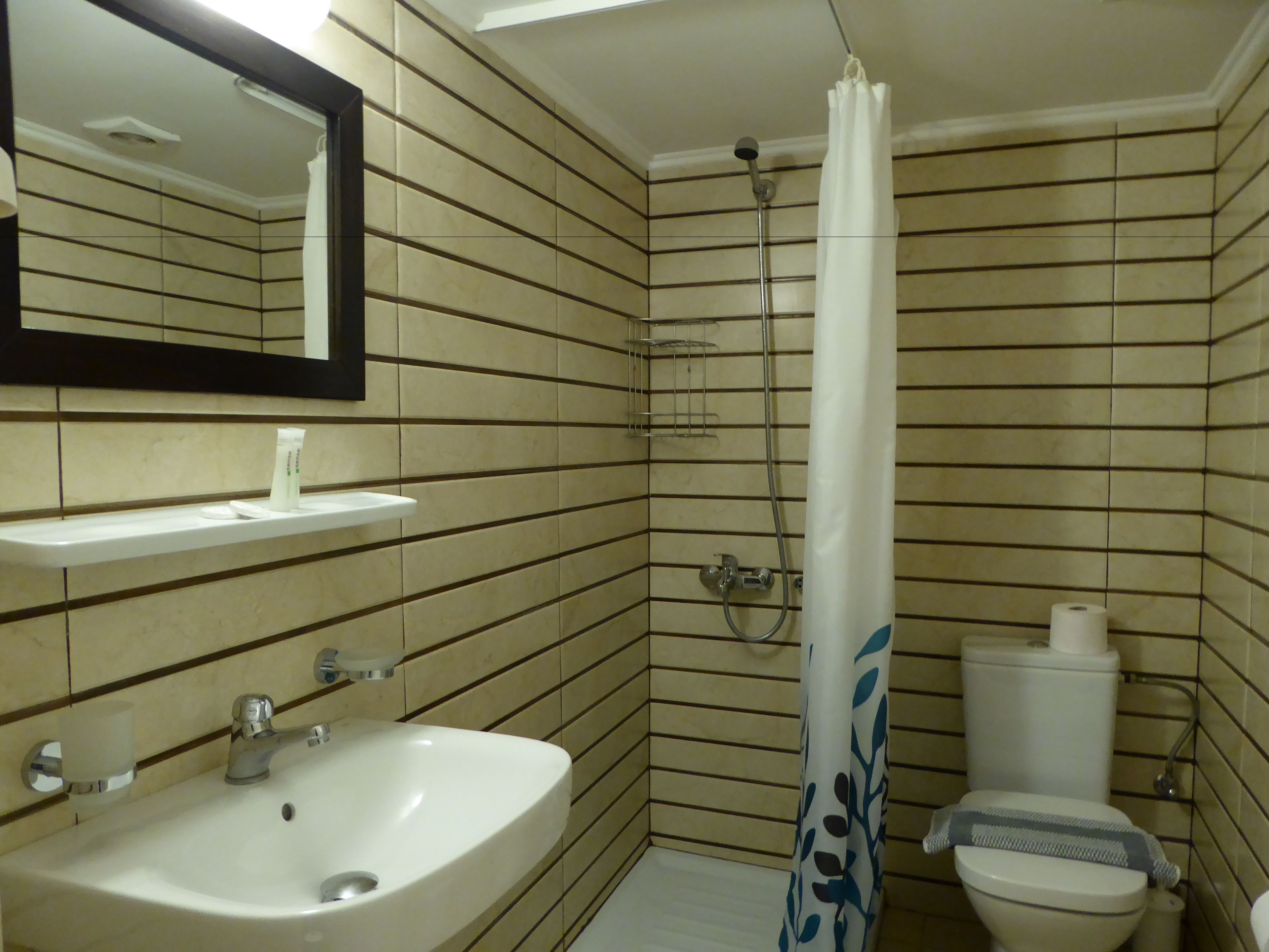 shower, rainfall showerhead, free toiletries, hair dryer