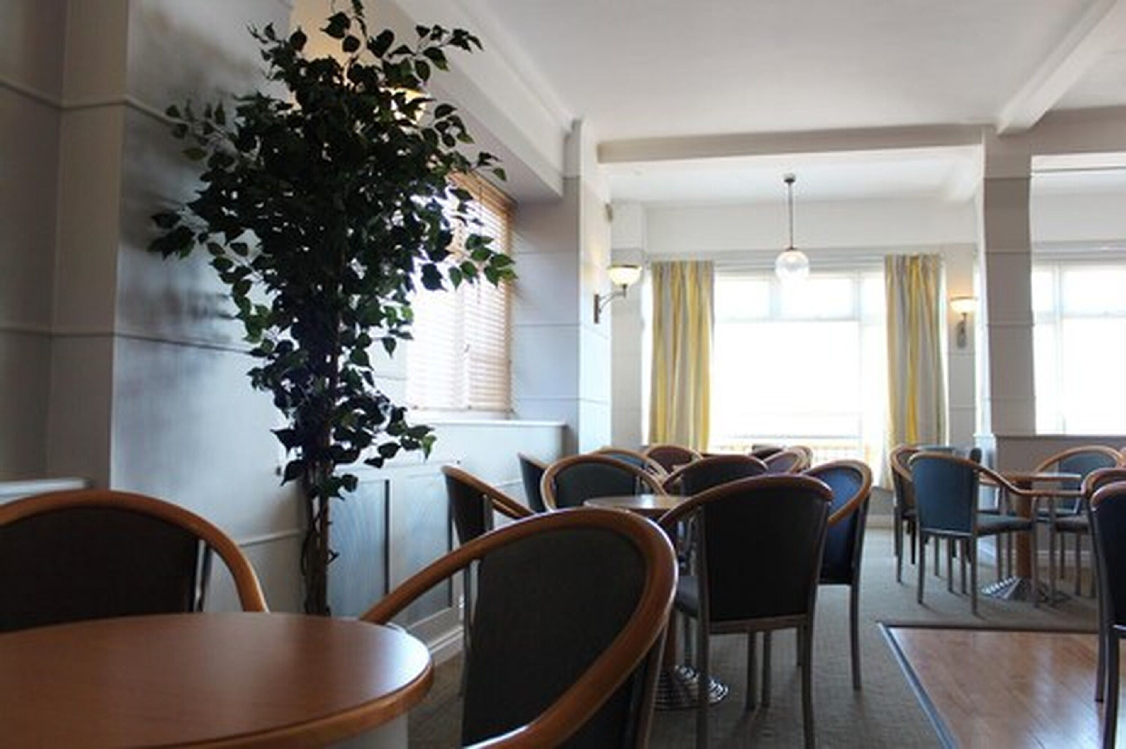 A dining area with round tables and chairs, a large potted plant, and windows with curtains.