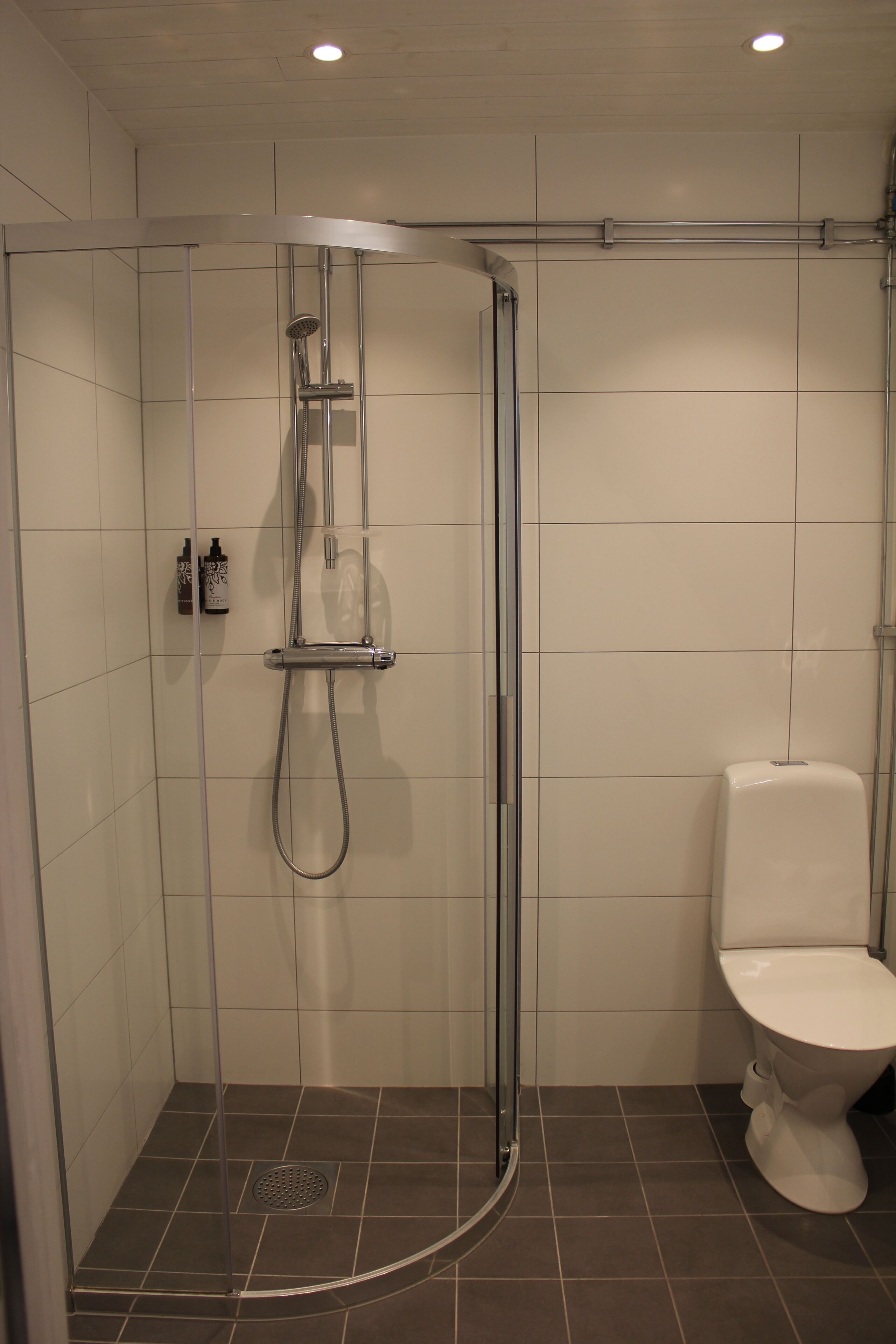 Una doccia con porta in vetro, un water e un piccolo ripiano con articoli da toilette.