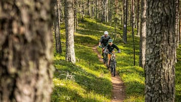 A forest trail with cyclists.