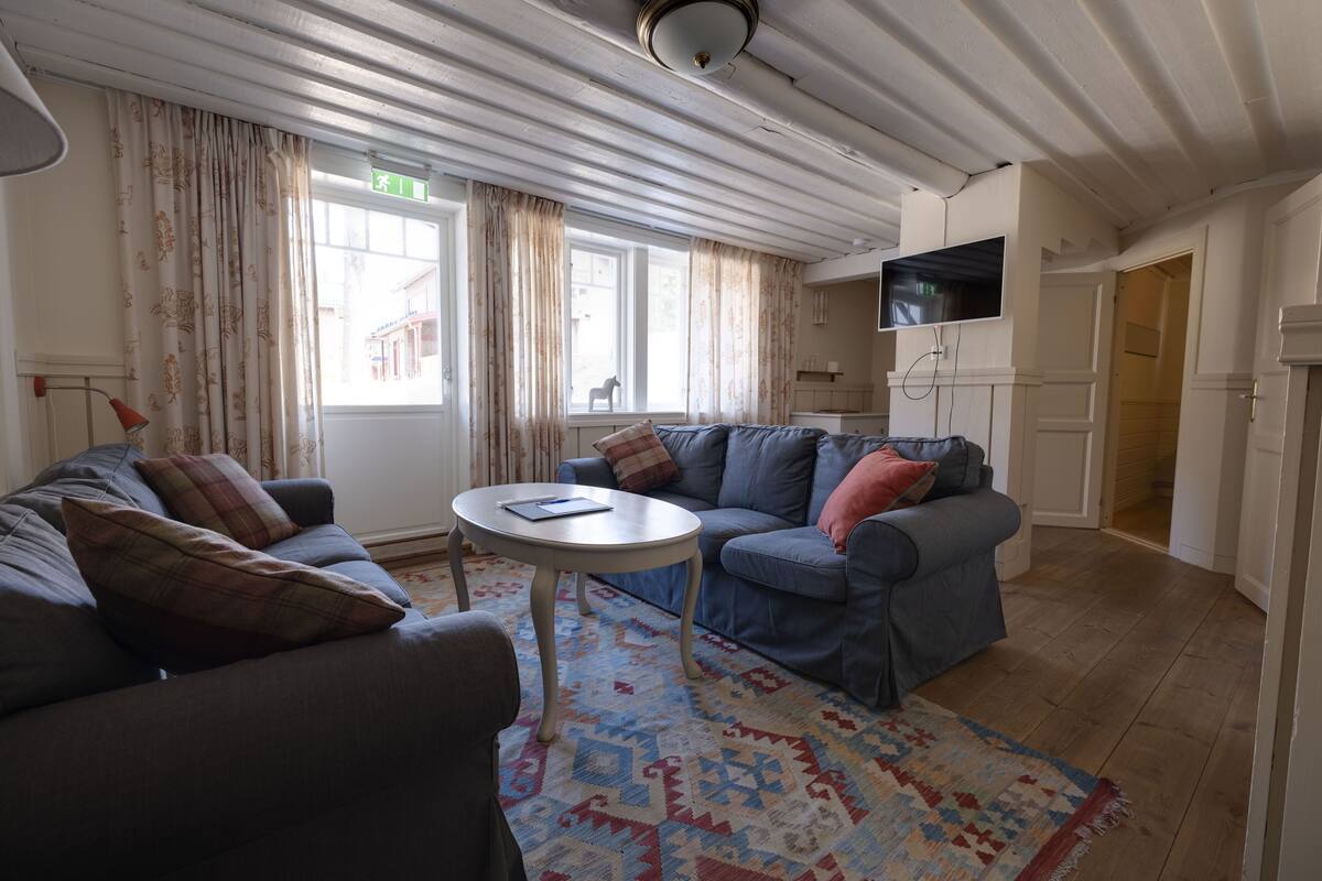 Ein Wohnzimmer mit zwei Sofas, einem Couchtisch und einem gemusterten Teppich.
