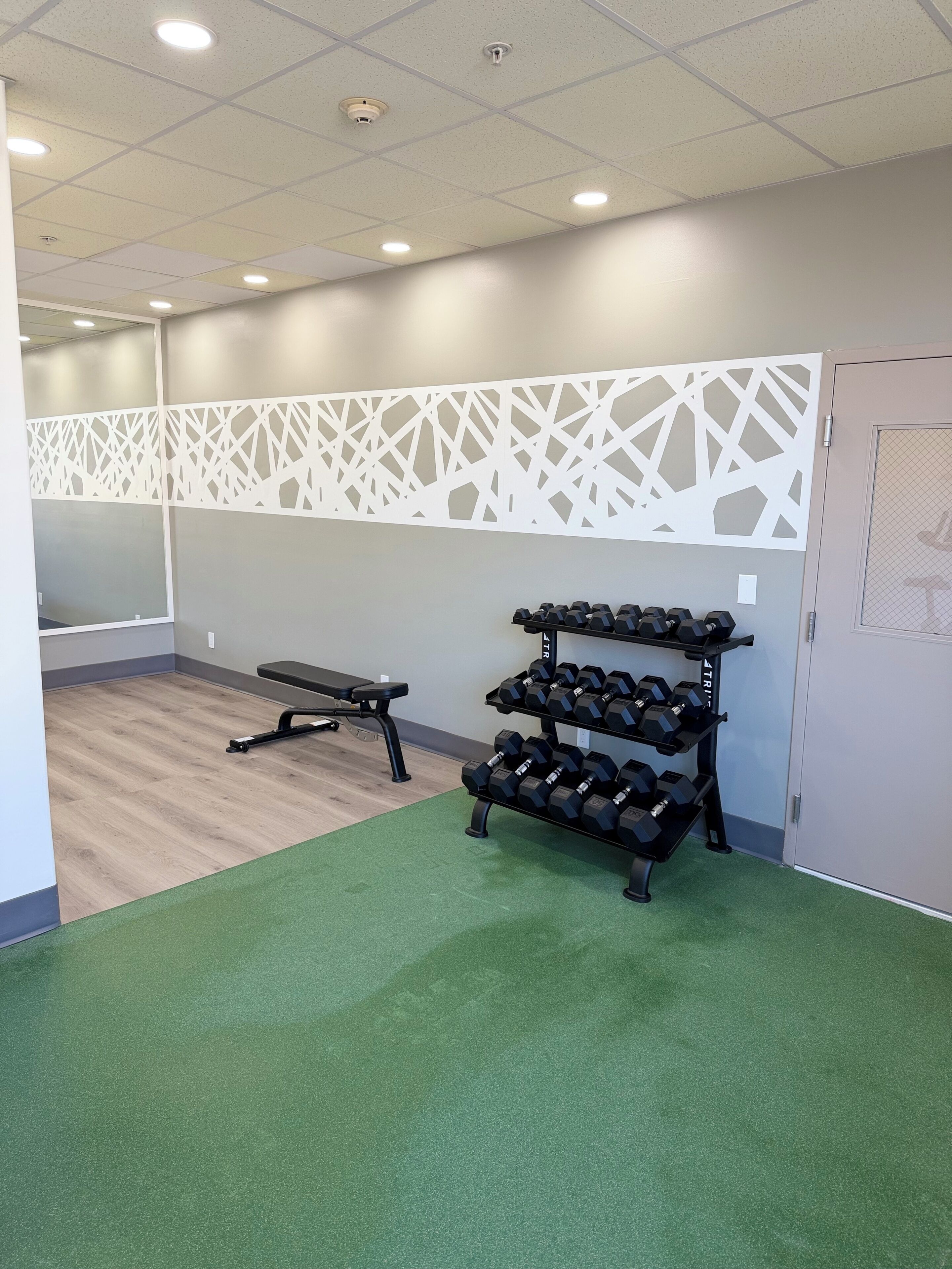 Un gimnasio con una banca, un estante para mancuernas y una alfombra verde.