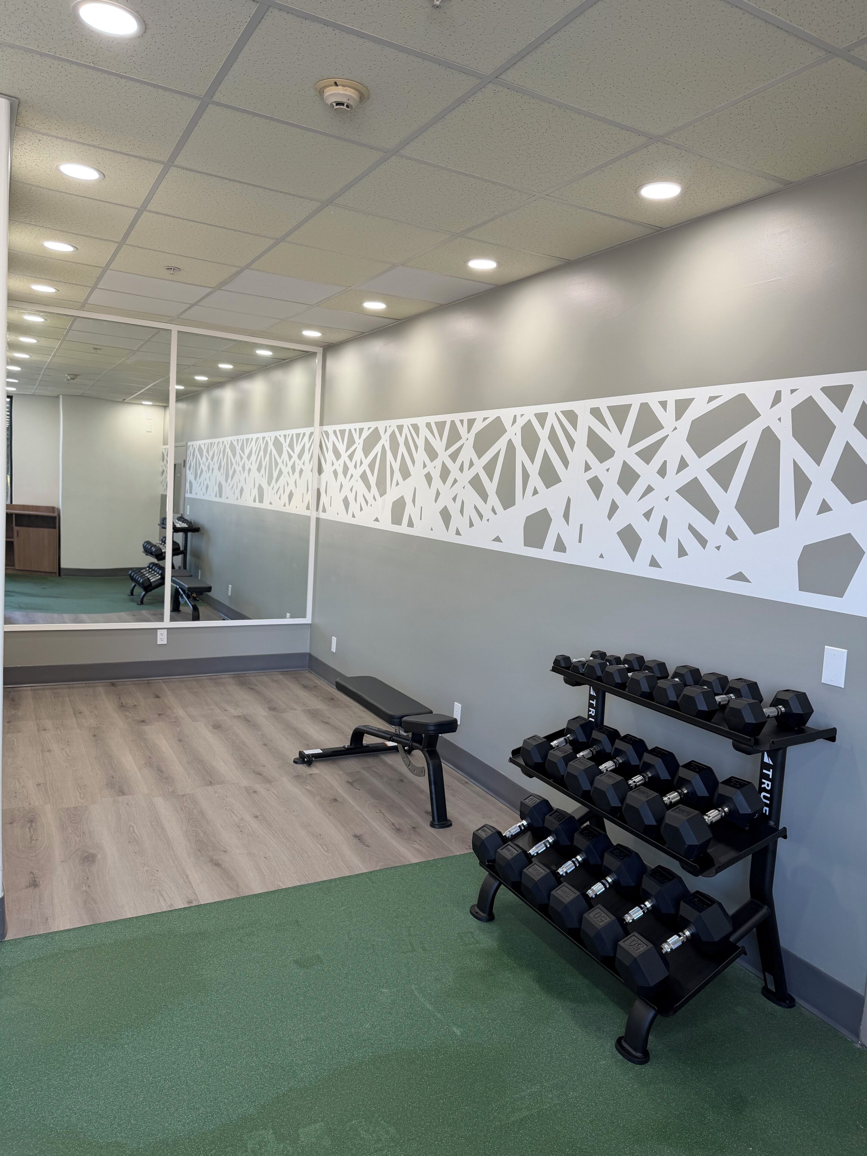 Gimnasio