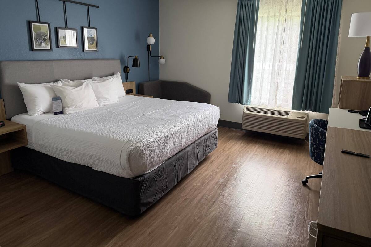 Kamar, 1 Tempat Tidur King, akses difabel, Bebas Asap Rokok | Meja kerja, tirai kedap cahaya, setrika/meja setrika, dan Wi-Fi gratis