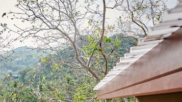 Tree Top Nest Seaview (Deluxe Bungalow with Sea View) | Vue sur la plage/lâocĂ©an