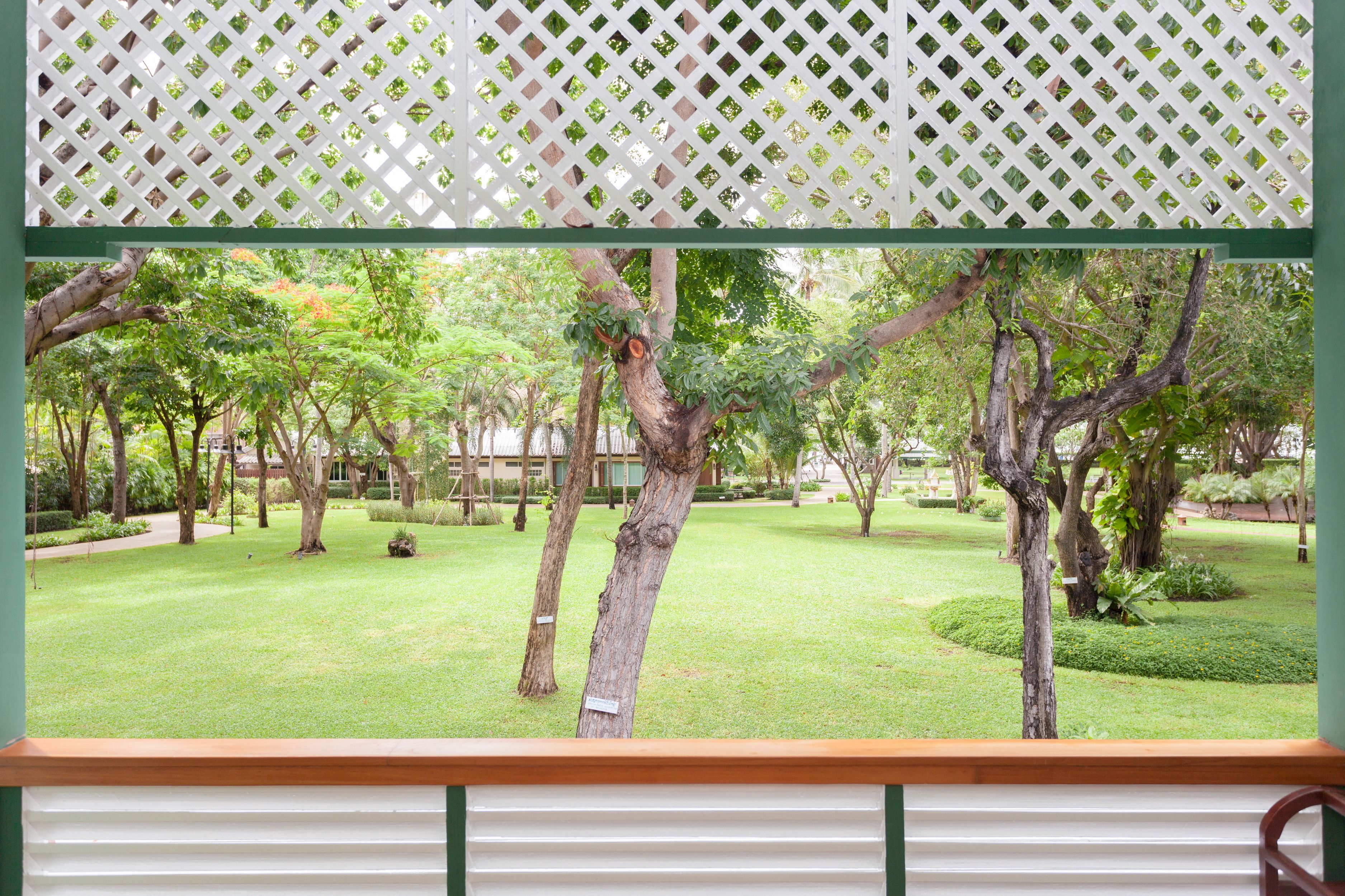Vista a través de una ventana con celosía blanca, mostrando un jardín cuidado con diversos árboles y un césped impecable.
