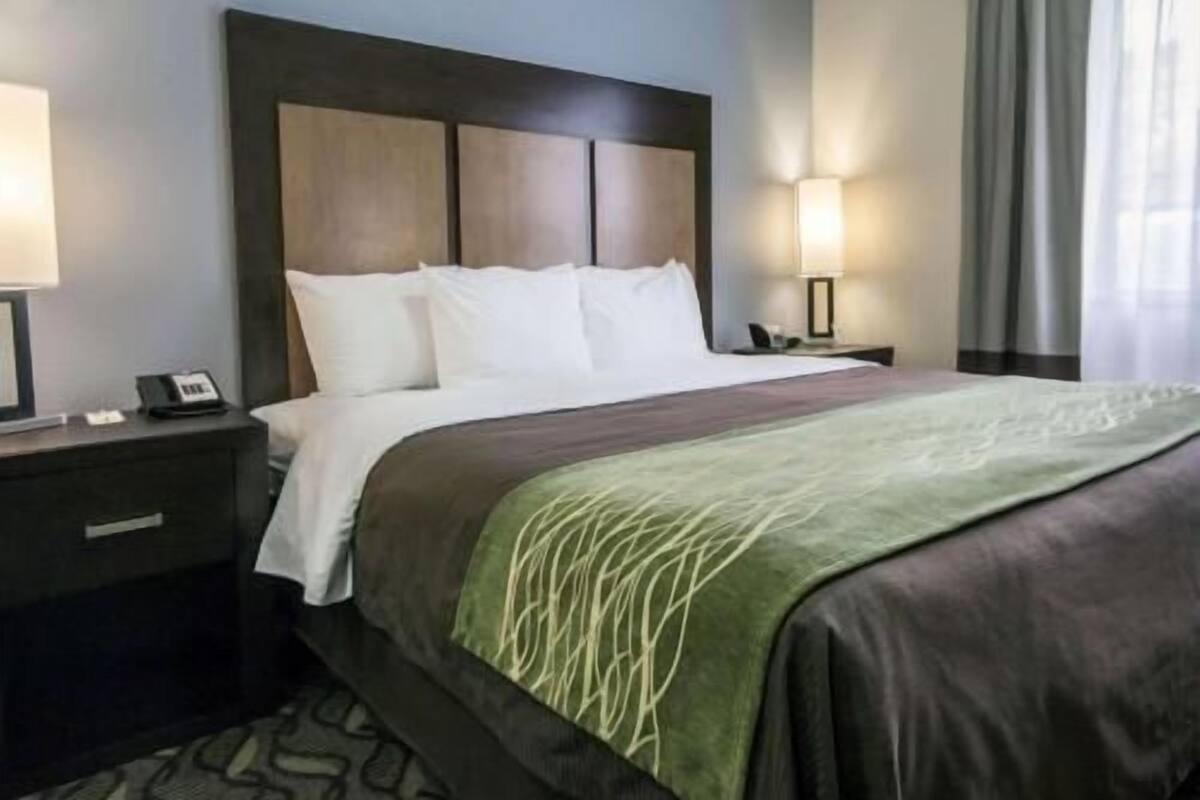 A hotel room with a bed, nightstands, a lamp, and a window with curtains.