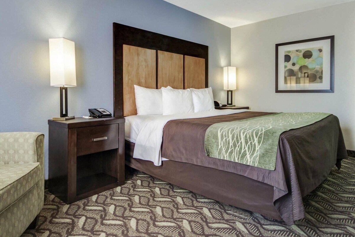 A hotel room with a bed, bedside tables, a chair, a patterned carpet, and a framed picture on the wall.