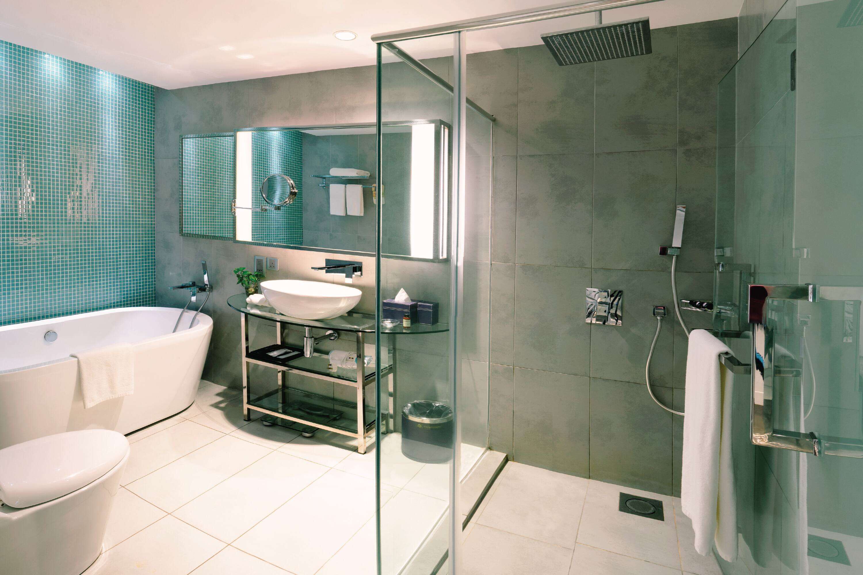 Separate bathtub and shower, free toiletries, hair dryer, bathrobes
