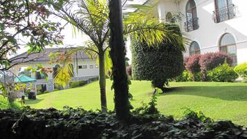 A well-maintained garden with a lawn, a palm tree, and a neatly trimmed bush in front of a white building with arched windows and a balcony.