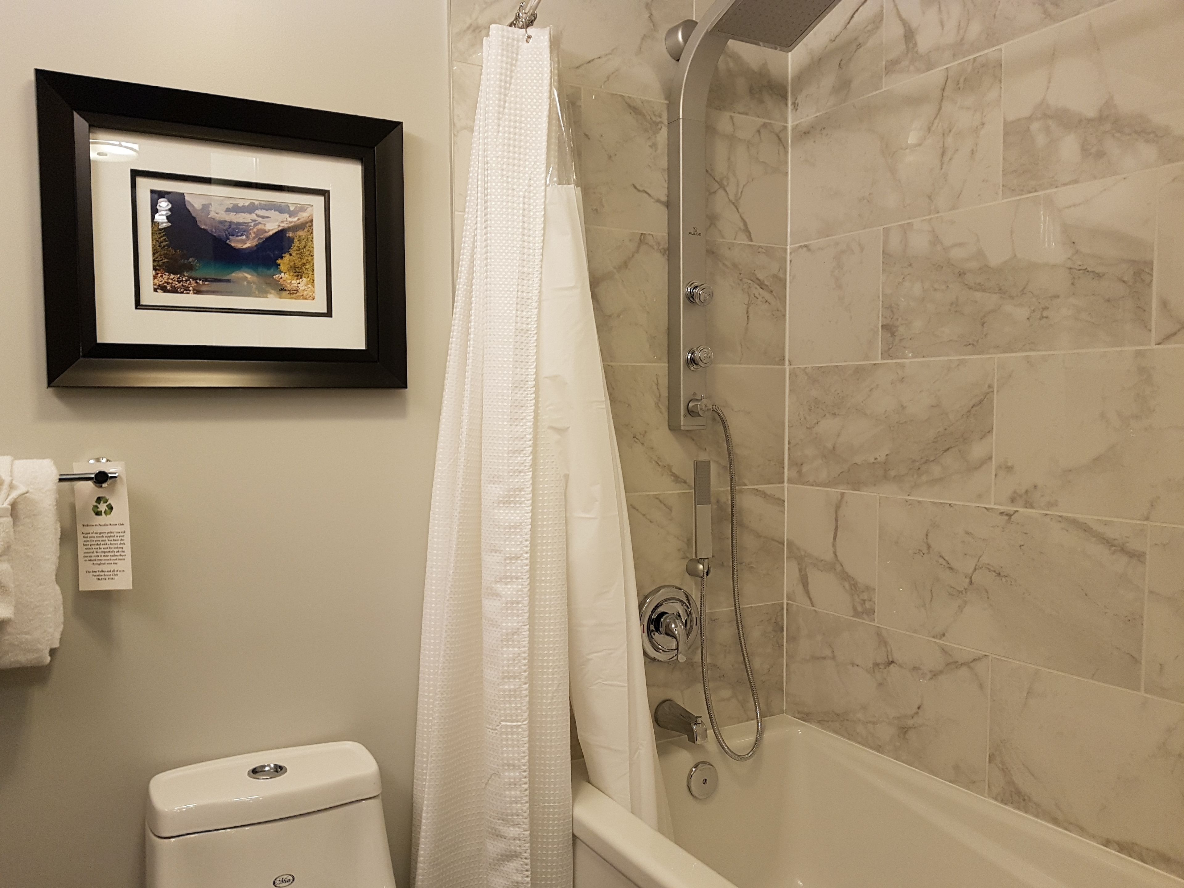 A bathroom with a shower, toilet, and a framed picture on the wall.