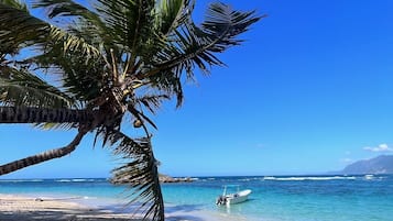 Gần bãi biển, cát trắng