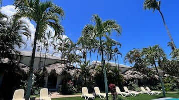 Outdoor pool, pool loungers