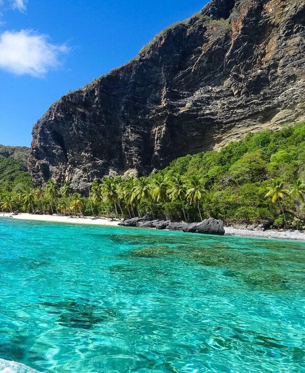 靠近海滩、白沙