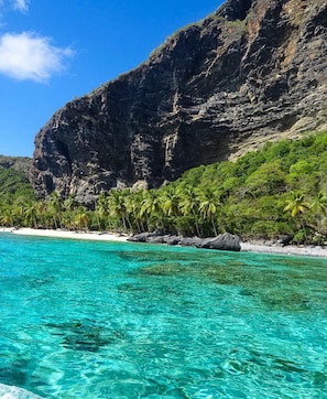 Une plage à l’eau turquoise et limpide, une falaise rocheuse et des palmiers.